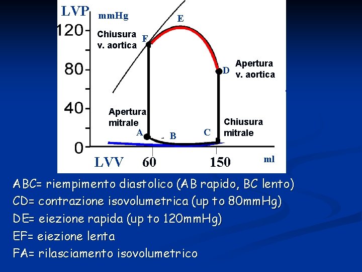 LVP mm. Hg E Chiusura F v. aortica Apertura D v. aortica Apertura mitrale