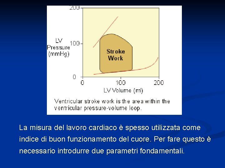 La misura del lavoro cardiaco è spesso utilizzata come indice di buon funzionamento del