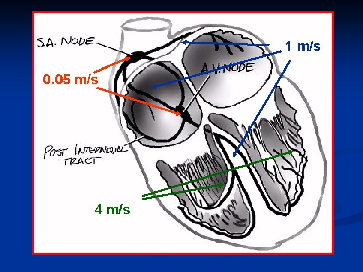 1 m/s 0. 05 m/s 4 m/s 