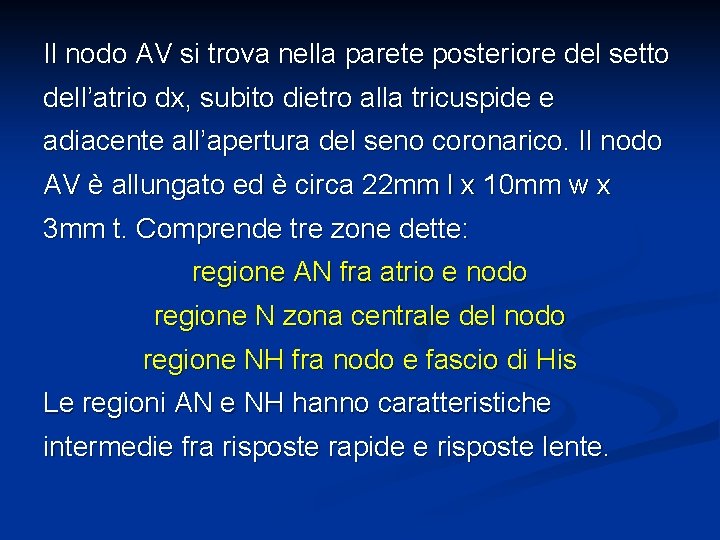 Il nodo AV si trova nella parete posteriore del setto dell’atrio dx, subito dietro