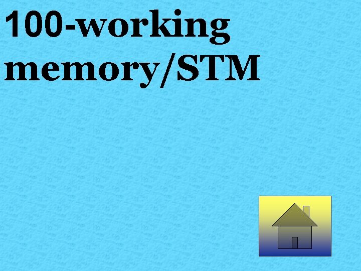 100 -working memory/STM 