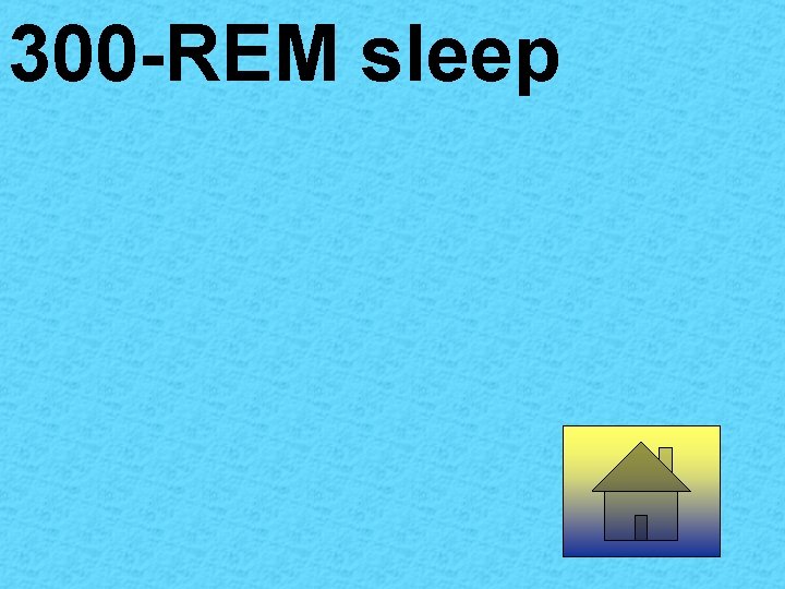 300 -REM sleep 