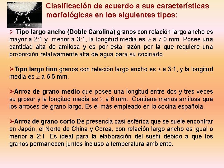 Clasificación de acuerdo a sus características morfológicas en los siguientes tipos: Ø Tipo Clasificación de acuerdo a sus características morfológicas en los siguientes tipos: Ø Tipo