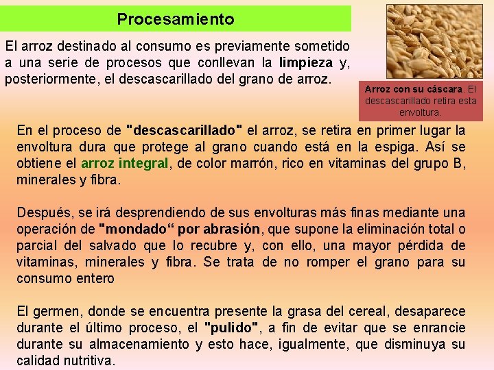 Procesamiento El arroz destinado al consumo es previamente sometido a una serie de procesos Procesamiento El arroz destinado al consumo es previamente sometido a una serie de procesos