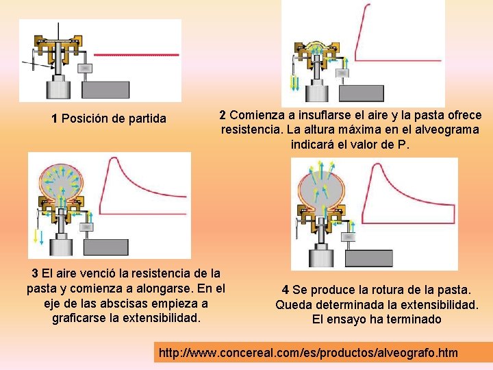 1 Posición de partida 2 Comienza a insuflarse el aire y la pasta ofrece 1 Posición de partida 2 Comienza a insuflarse el aire y la pasta ofrece