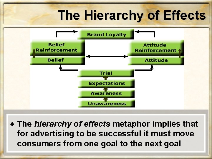 The Hierarchy of Effects ¨ The hierarchy of effects metaphor implies that for advertising
