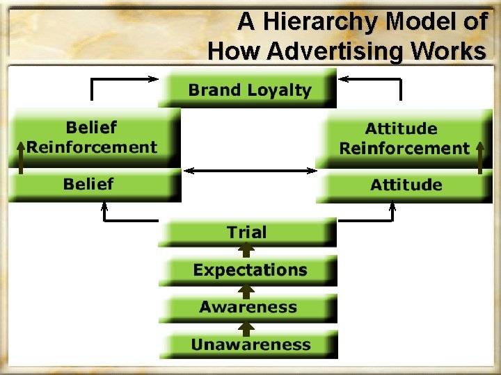 A Hierarchy Model of How Advertising Works 