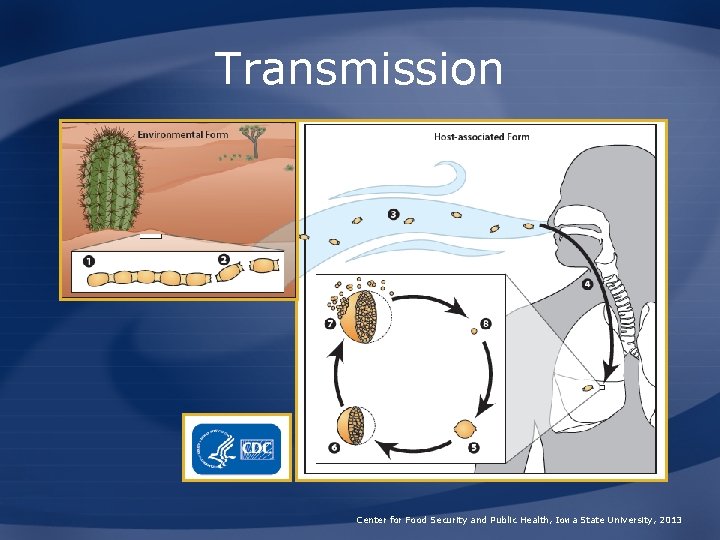 Transmission Center for Food Security and Public Health, Iowa State University, 2013 