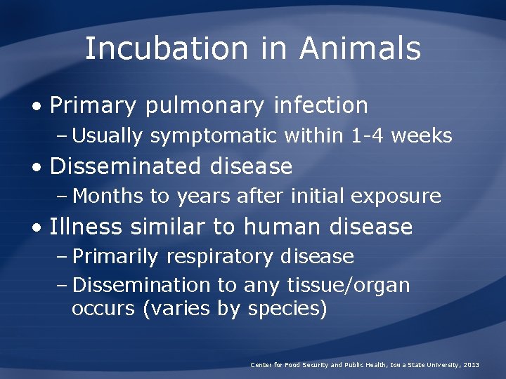 Incubation in Animals • Primary pulmonary infection – Usually symptomatic within 1 -4 weeks