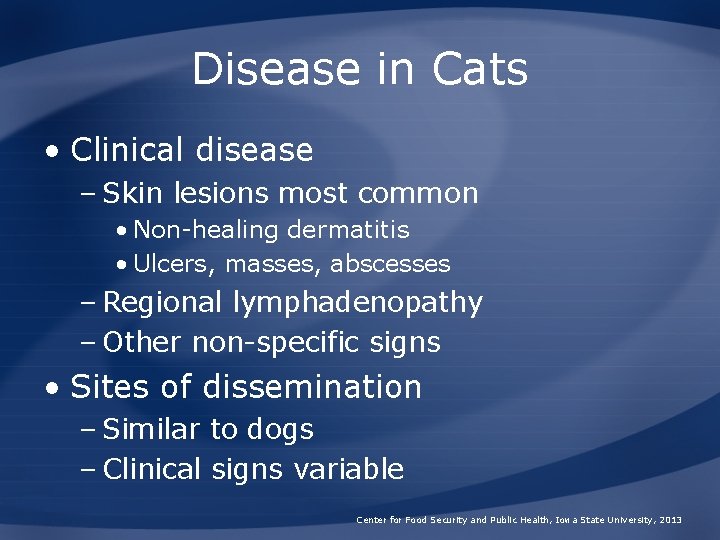 Disease in Cats • Clinical disease – Skin lesions most common • Non-healing dermatitis