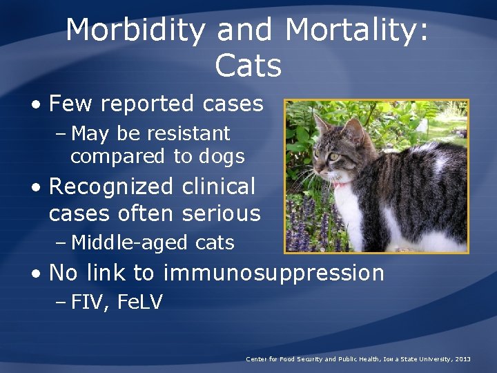 Morbidity and Mortality: Cats • Few reported cases – May be resistant compared to