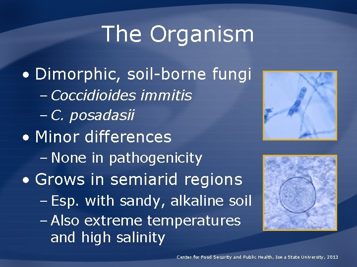 The Organism • Dimorphic, soil-borne fungi – Coccidioides immitis – C. posadasii • Minor