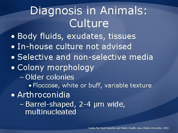 Diagnosis in Animals: Culture • Body fluids, exudates, tissues • In-house culture not advised