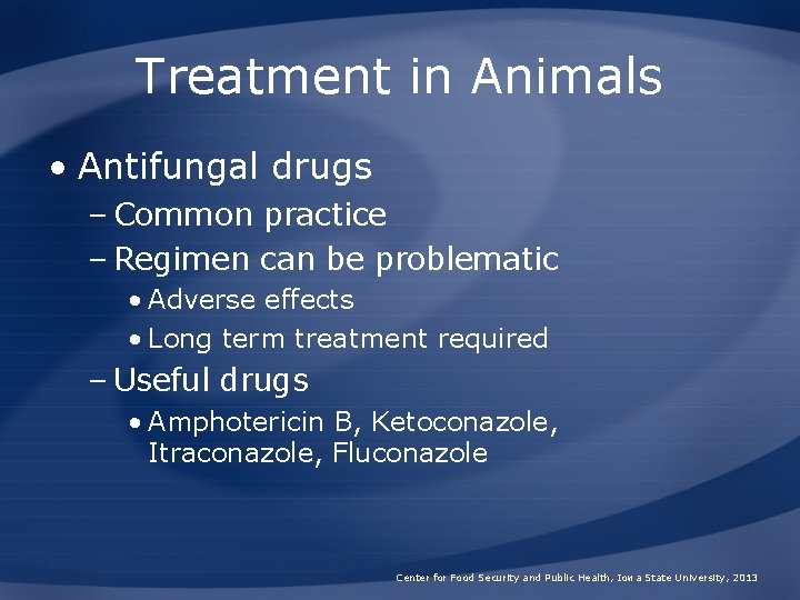 Treatment in Animals • Antifungal drugs – Common practice – Regimen can be problematic