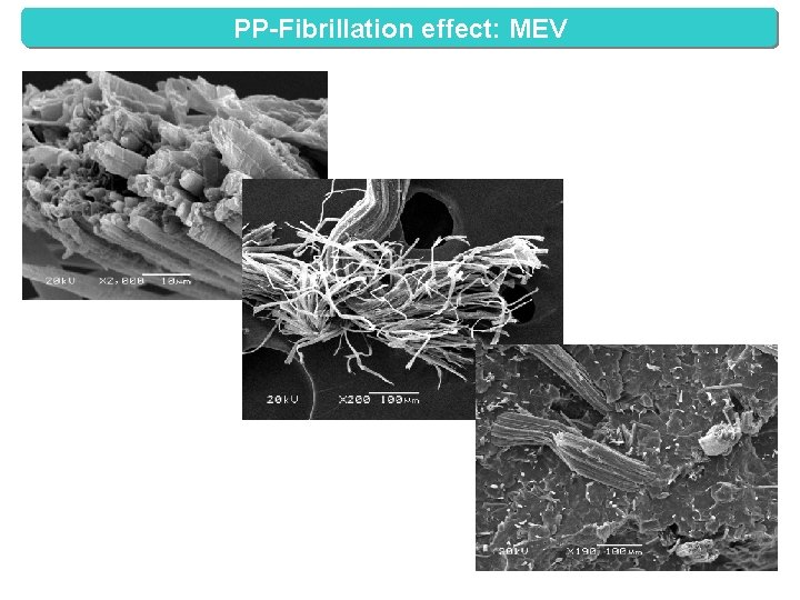 PP-Fibrillation effect: MEV 