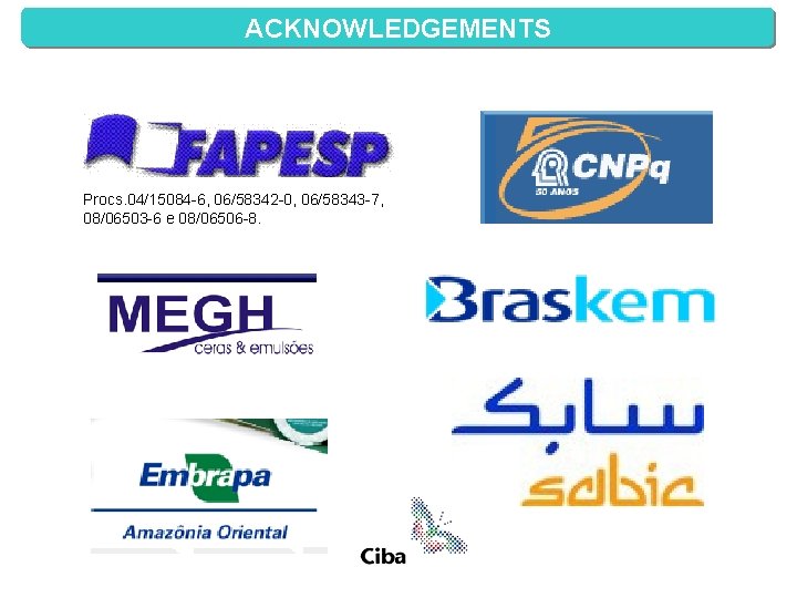 ACKNOWLEDGEMENTS Procs. 04/15084 -6, 06/58342 -0, 06/58343 -7, 08/06503 -6 e 08/06506 -8. 