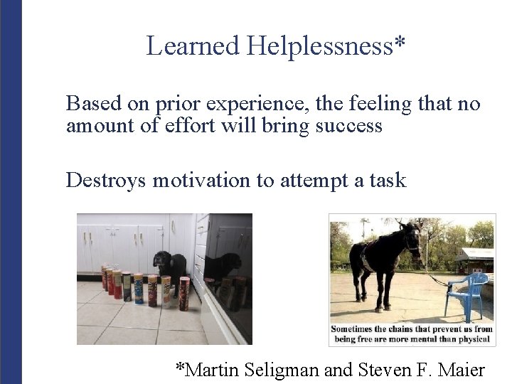 Learned Helplessness* Based on prior experience, the feeling that no amount of effort will