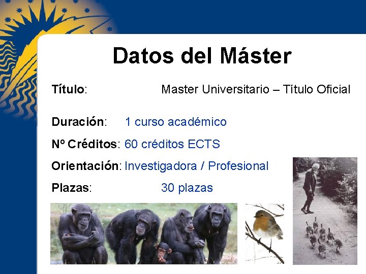 Datos del Máster Título: Duración: Master Universitario – Título Oficial 1 curso académico Nº