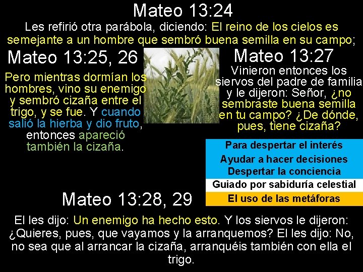 Mateo 13: 24 Les refirió otra parábola, diciendo: El reino de los cielos es