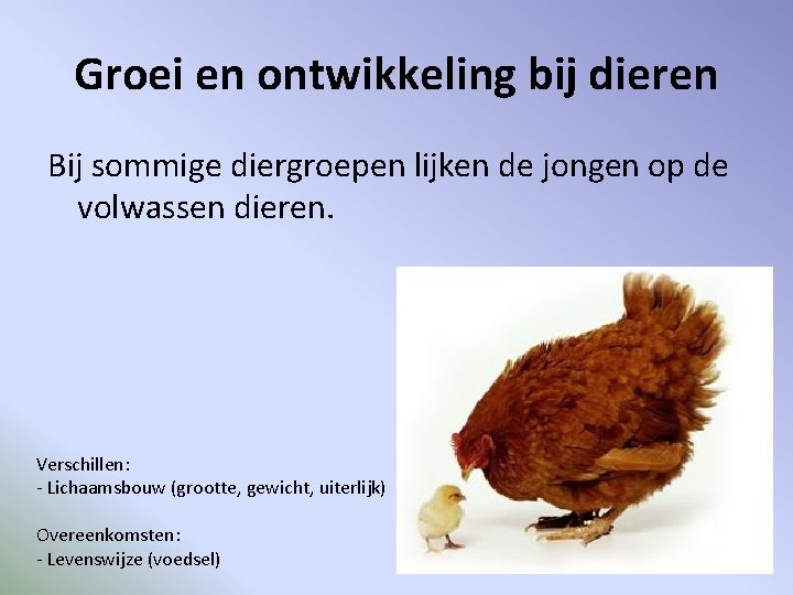 Groei en ontwikkeling bij dieren Bij sommige diergroepen lijken de jongen op de volwassen