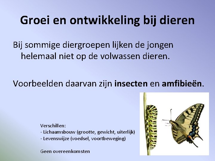 Groei en ontwikkeling bij dieren Bij sommige diergroepen lijken de jongen helemaal niet op