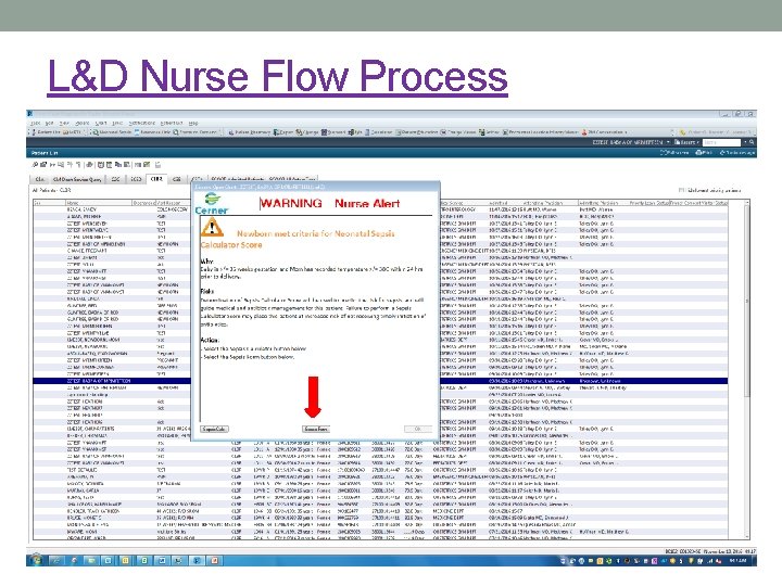 L&D Nurse Flow Process 