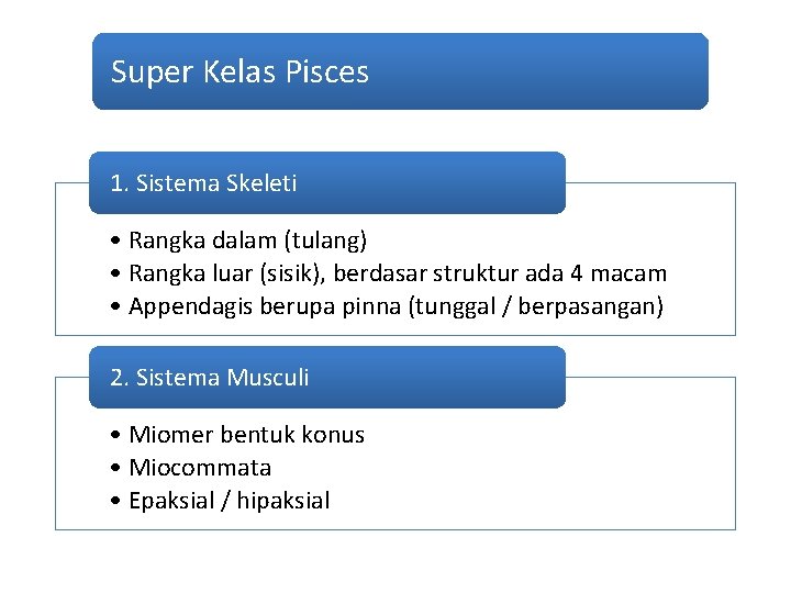 Super Kelas Pisces 1. Sistema Skeleti • Rangka dalam (tulang) • Rangka luar (sisik),
