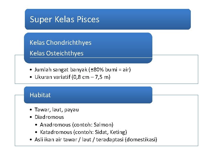 Super Kelas Pisces Kelas Chondrichthyes Kelas Osteichthyes • Jumlah sangat banyak (± 80% bumi