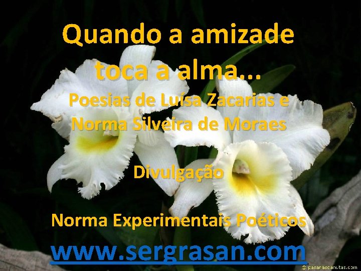 Quando a amizade toca a alma. . . Poesias de Luísa Zacarias e Norma