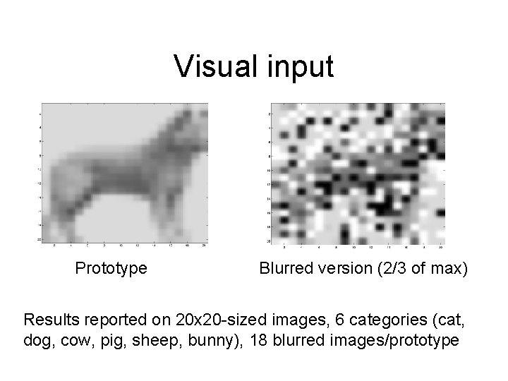Visual input Prototype Blurred version (2/3 of max) Results reported on 20 x 20 Visual input Prototype Blurred version (2/3 of max) Results reported on 20 x 20