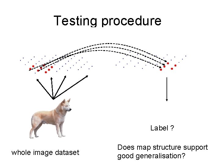 Testing procedure Label ? whole image dataset Does map structure support good generalisation? Testing procedure Label ? whole image dataset Does map structure support good generalisation?