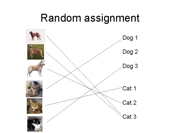 Random assignment Dog 1 Dog 2 Dog 3 Cat 1 Cat 2 Cat 3 Random assignment Dog 1 Dog 2 Dog 3 Cat 1 Cat 2 Cat 3