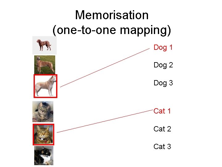 Memorisation (one-to-one mapping) Dog 1 Dog 2 Dog 3 Cat 1 Cat 2 Cat Memorisation (one-to-one mapping) Dog 1 Dog 2 Dog 3 Cat 1 Cat 2 Cat