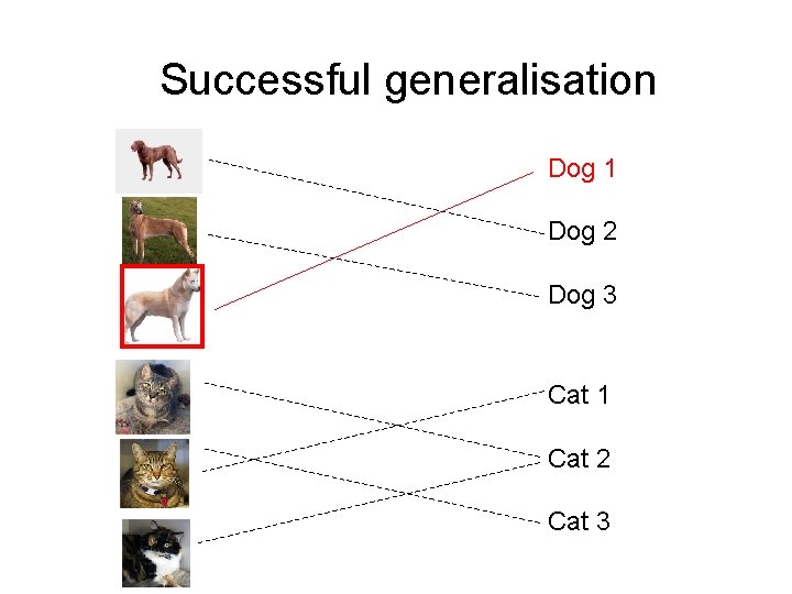 Successful generalisation Dog 1 Dog 2 Dog 3 Cat 1 Cat 2 Cat 3 Successful generalisation Dog 1 Dog 2 Dog 3 Cat 1 Cat 2 Cat 3