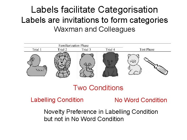 Labels facilitate Categorisation Labels are invitations to form categories Waxman and Colleagues Two Conditions Labels facilitate Categorisation Labels are invitations to form categories Waxman and Colleagues Two Conditions
