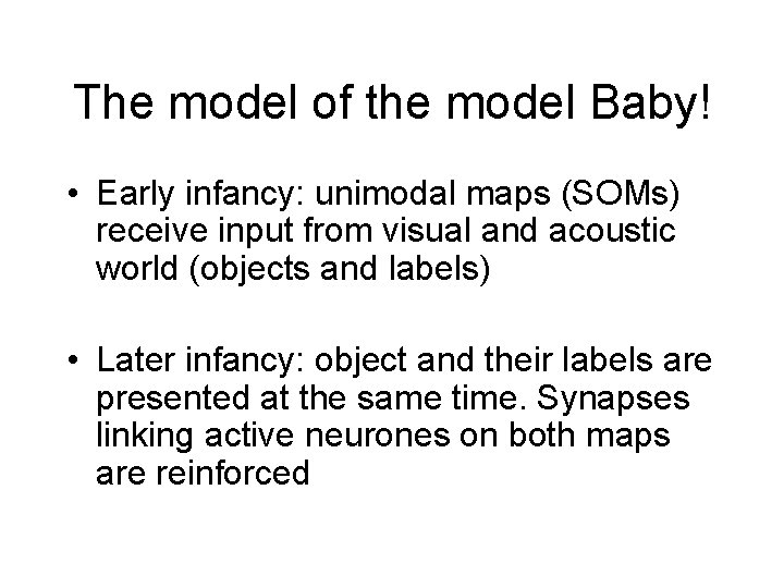 The model of the model Baby! • Early infancy: unimodal maps (SOMs) receive input The model of the model Baby! • Early infancy: unimodal maps (SOMs) receive input