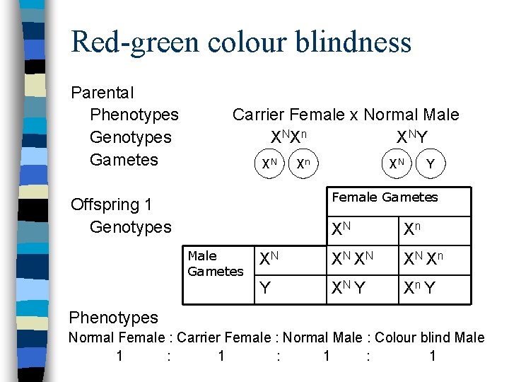 Red-green colour blindness Parental Phenotypes Gametes Carrier Female x Normal Male X NX n