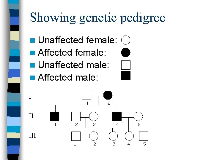 Showing genetic pedigree n Unaffected female: n Affected female: n Unaffected male: n Affected