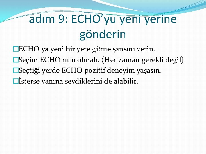 adım 9: ECHO’yu yeni yerine gönderin �ECHO ya yeni bir yere gitme şansını verin.