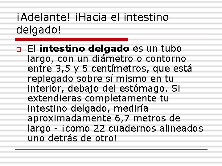 ¡Adelante! ¡Hacia el intestino delgado! o El intestino delgado es un tubo largo, con