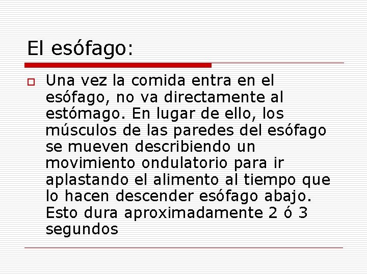 El esófago: o Una vez la comida entra en el esófago, no va directamente