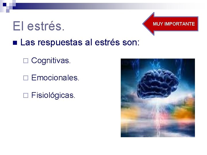 El estrés. n Las respuestas al estrés son: ¨ Cognitivas. ¨ Emocionales. ¨ Fisiológicas.