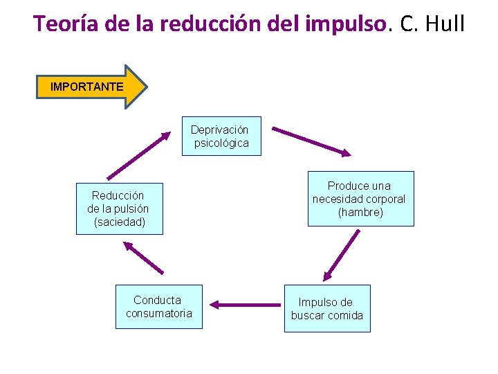 Teoría de la reducción del impulso. C. Hull IMPORTANTE Deprivación psicológica Reducción de la