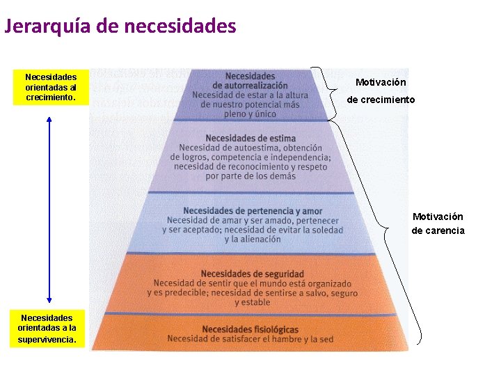 Jerarquía de necesidades Necesidades orientadas al crecimiento. Motivación de crecimiento Motivación de carencia Necesidades