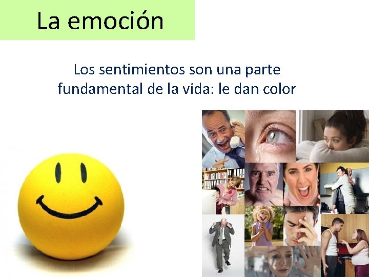  La emoción Los sentimientos son una parte fundamental de la vida: le dan