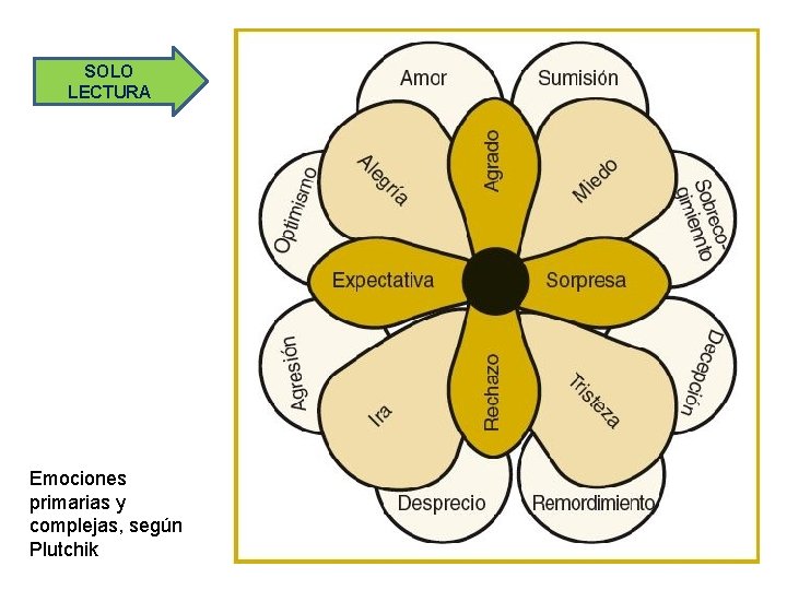 SOLO LECTURA Emociones primarias y complejas, según Plutchik 