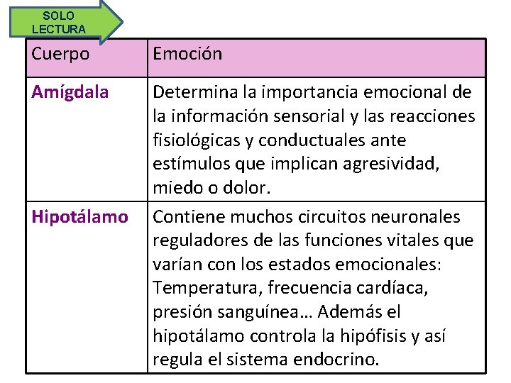 SOLO LECTURA Cuerpo Emoción Amígdala Determina la importancia emocional de la información sensorial y
