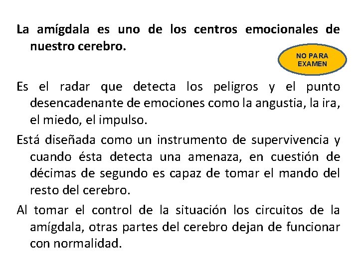 La amígdala es uno de los centros emocionales de nuestro cerebro. NO PARA EXAMEN
