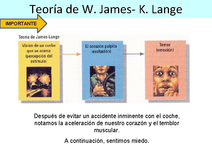 Teoría de W. James- K. Lange IMPORTANTE Después de evitar un accidente inminente con