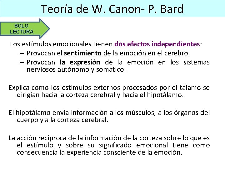 Teoría de W. Canon- P. Bard SOLO LECTURA Los estímulos emocionales tienen dos efectos